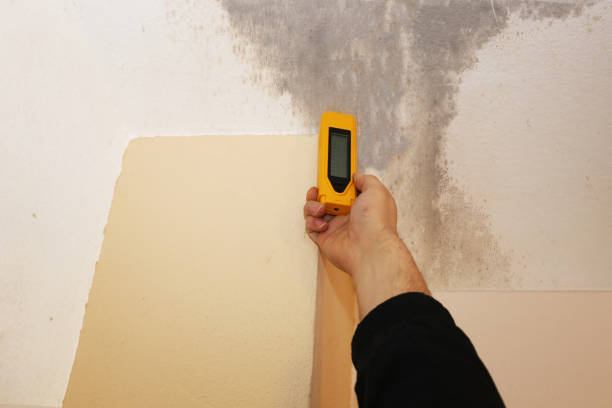 Best Residential Mold Inspection & Testing  in Eielson Af, AK