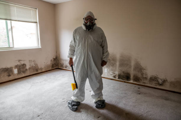 Best Emergency Mold Remediation  in Eielson Af, AK